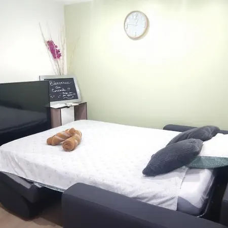 Le Concorde-wifi-clim-parking-3etoiles-ockeys Apartment