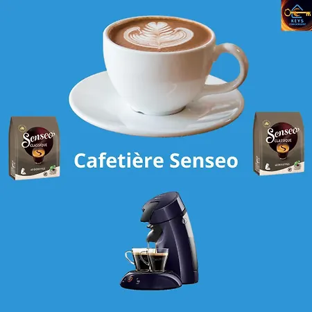 Le Concorde-wifi-clim-parking-3étoiles-ockeys *